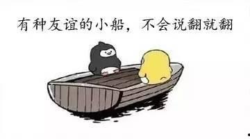 不投机吃瓜群众,揭秘不投机吃瓜群众的独特视角