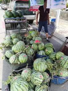 郓城吃瓜事件真相,揭开真相背后的曲折与反思