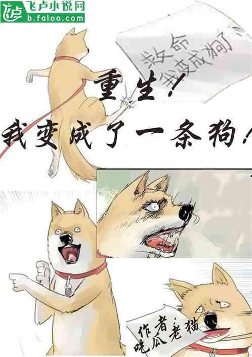 小说极致吃瓜在线阅读,一场小说中的虚拟与现实交织之旅